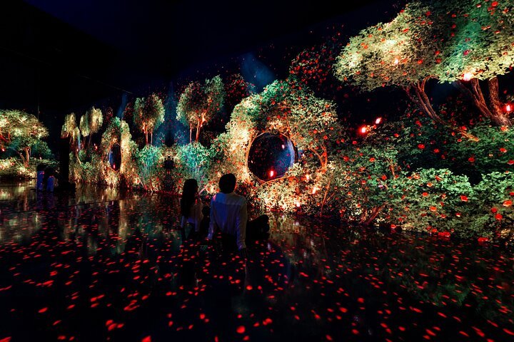 Arte Museum Las Vegas: A Mesmerizing Digital Wonderland